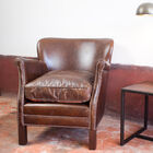 Club armchair harmoniously combined with a retro articulated lamp.