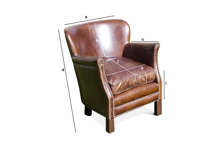 Product Dimensions Hazelnut leather professor armchair Turner