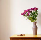 Joli vase en céramique rouille.