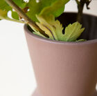 Les finitions sont subtiles et soignées.