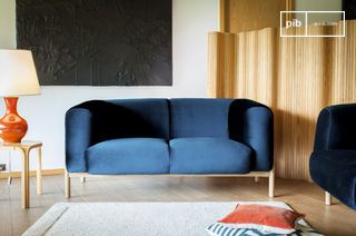 2-seater blue velvet sofa