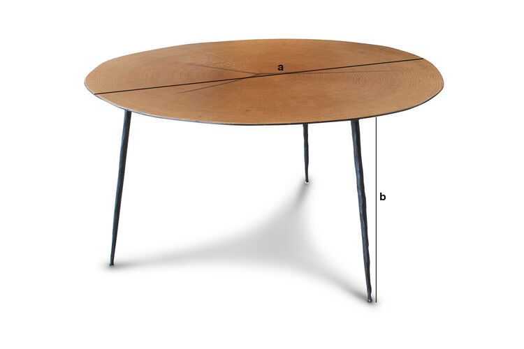 Productafmetingen Ronde metalen salontafel Een Xylème